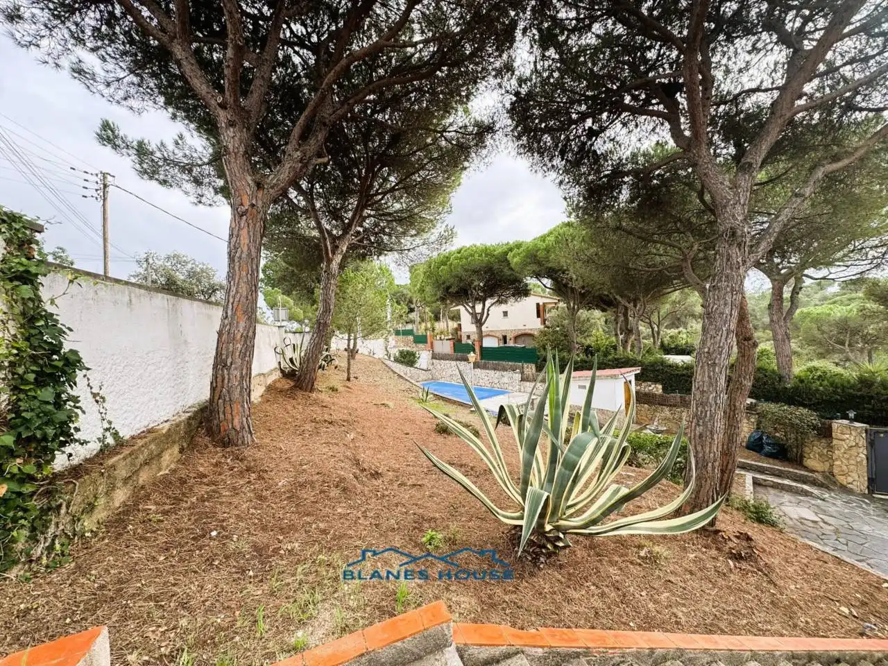 Vista exterior de Casa o xalet en venda en Tordera amb Aire condicionat, Jardí privat i Terrassa