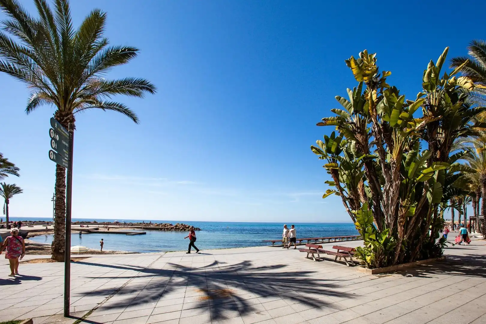 Exterior view of Study for sale in Torrevieja  with Air Conditioner, Terrace and Balcony