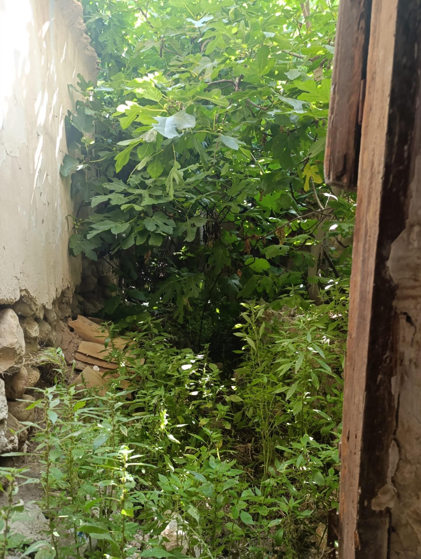 Single-family semi-detached for sale in Albudeite