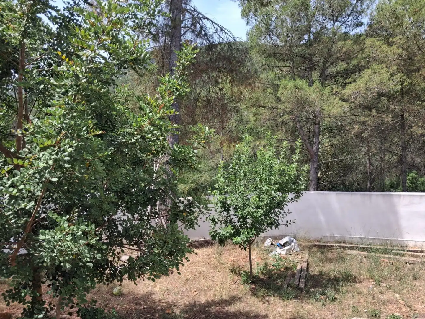 Casa o xalet en venda en Tales amb Terrassa i Traster