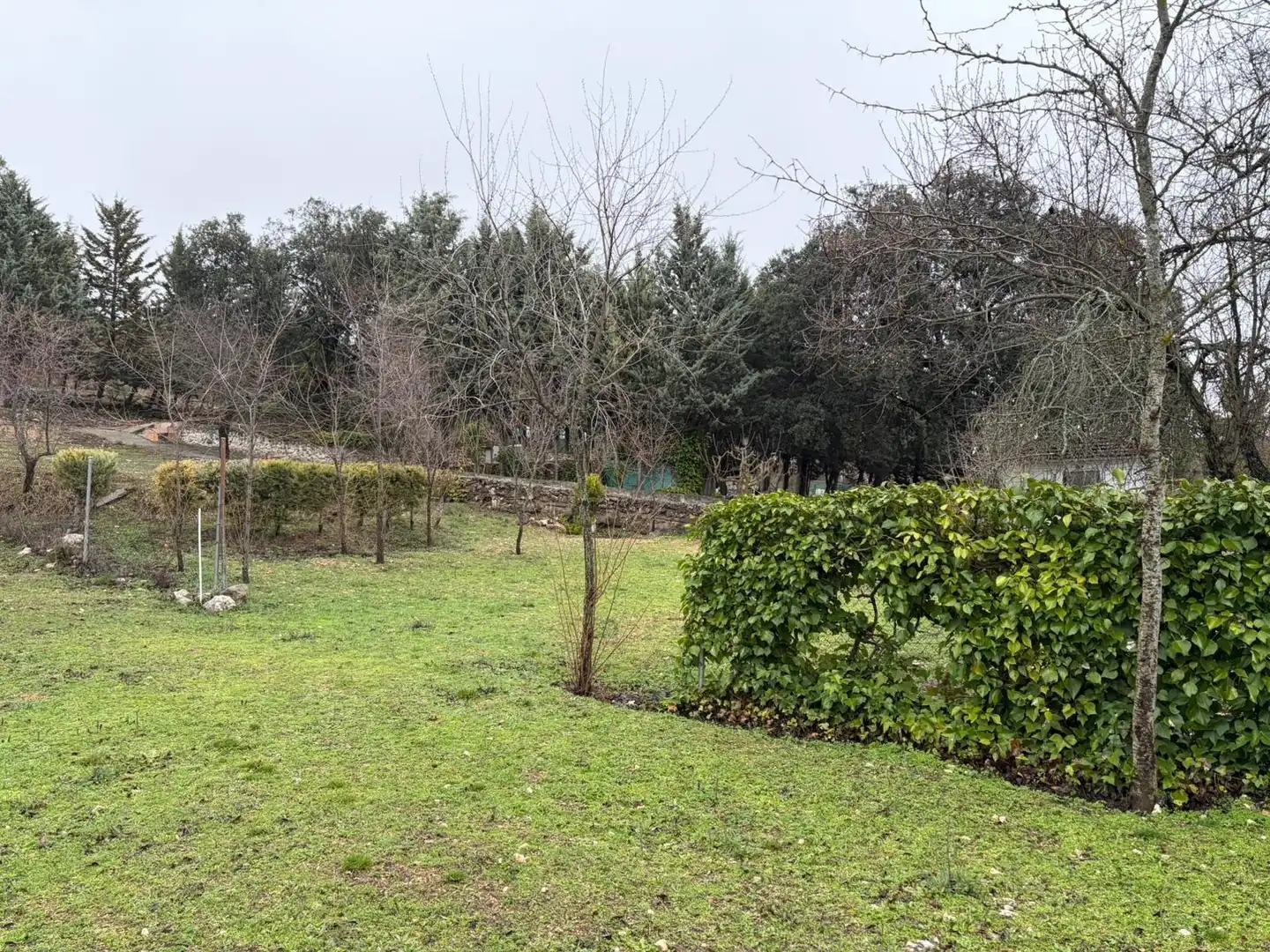 Finca rústica en venta en Pioz