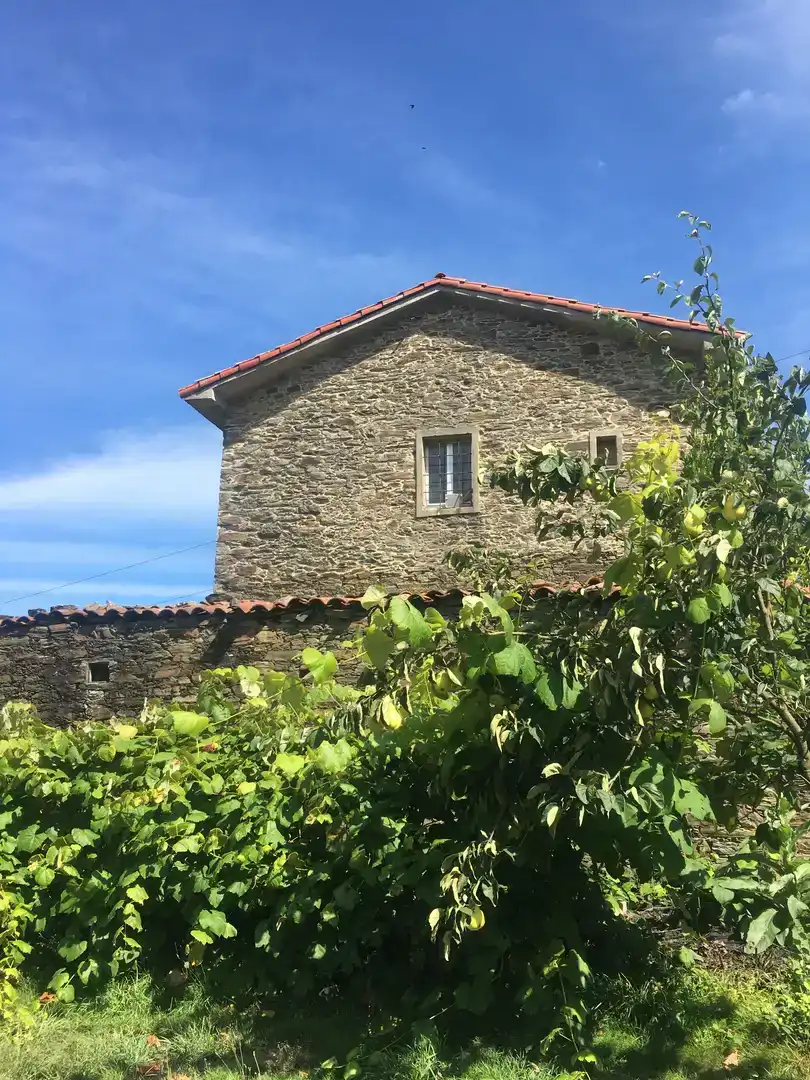 Vista exterior de Finca rústica en venta en Mesía con Jardín privado, Parquet y Amueblado