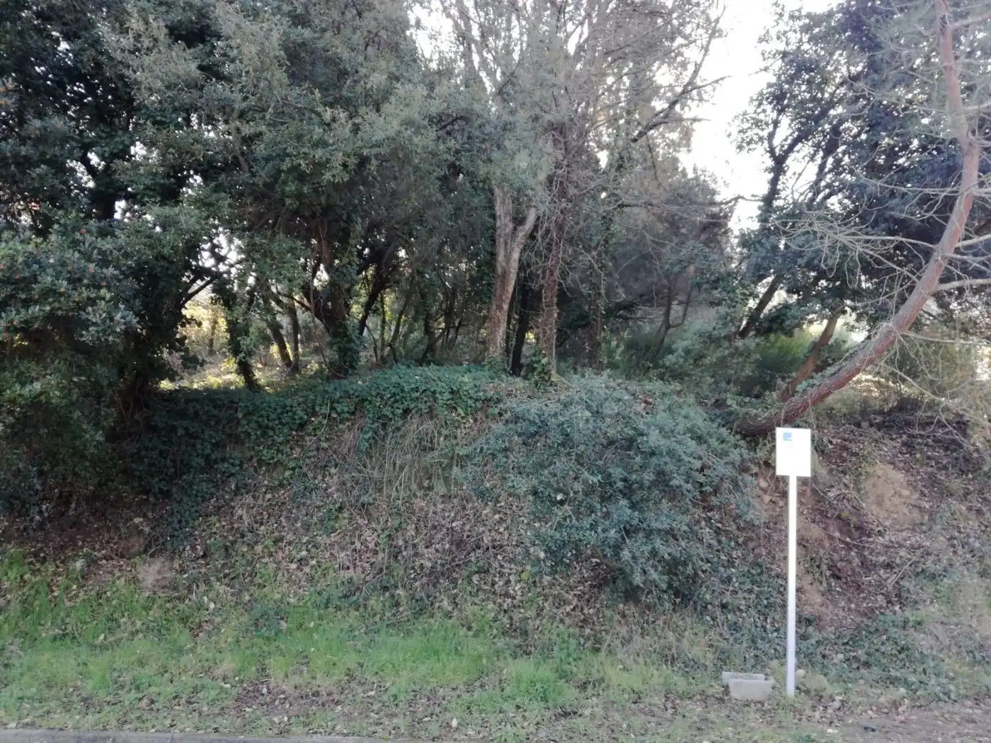 Residential land for sale in Vallgorguina, imagen 10