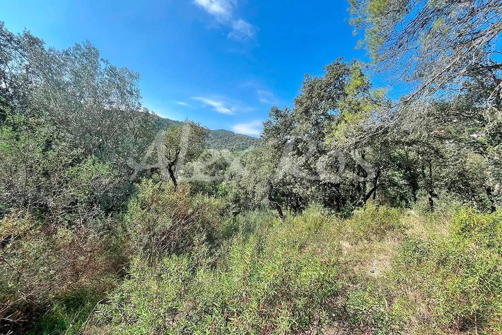 Rural land for sale in Mas Santet, imagen 7