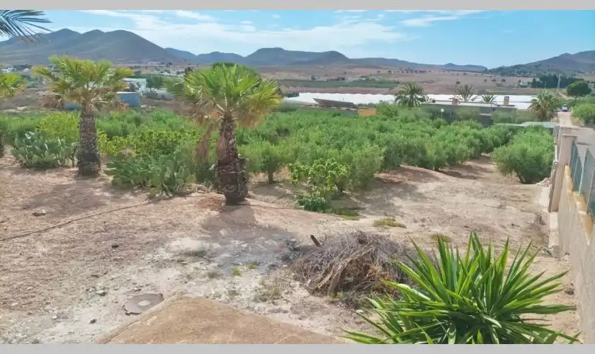 Xalet amb piscina en venda a Las Negras, imagen 14