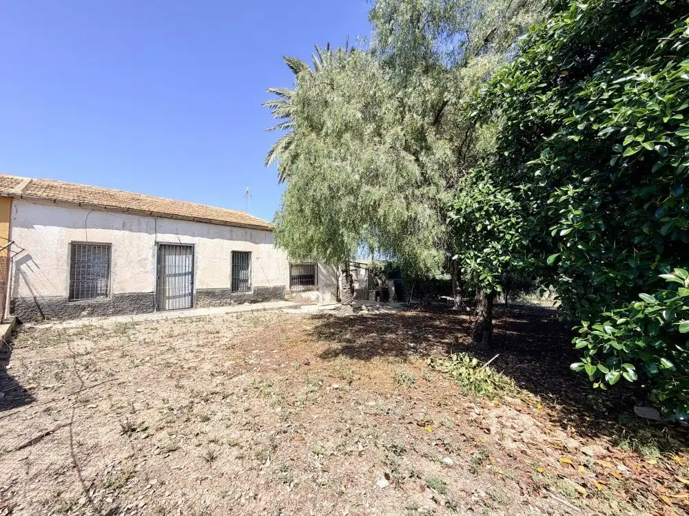 Country homes for sale in Elche / Elx