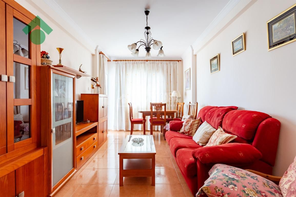 Living room of Flat for sale in Nerja