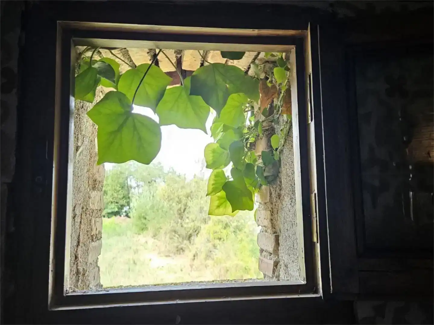 Pis en venda en Palafrugell amb Jardí privat i Moblat