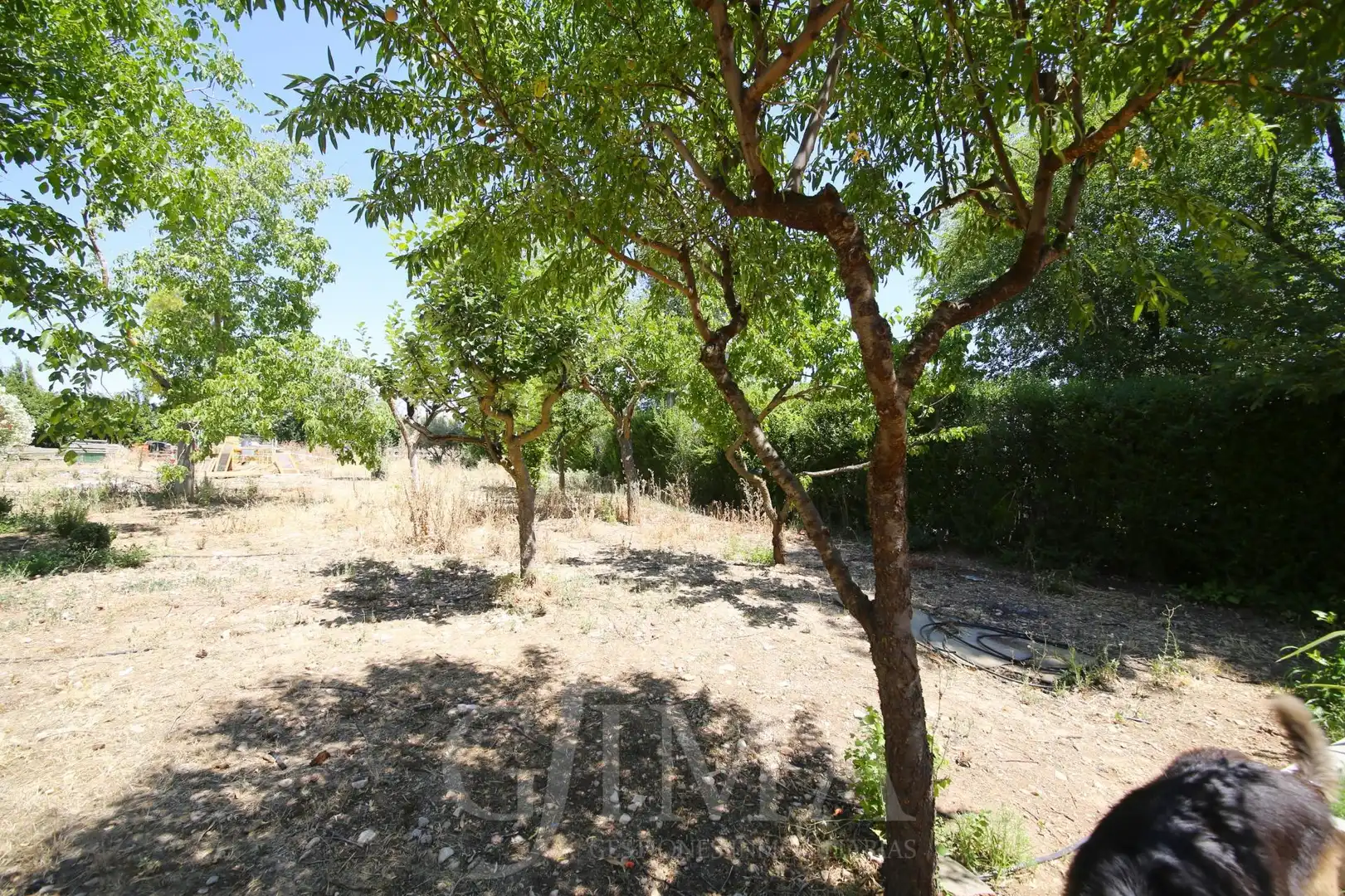 Xalet amb piscina en venda a Argamasilla de Alba, imagen 81