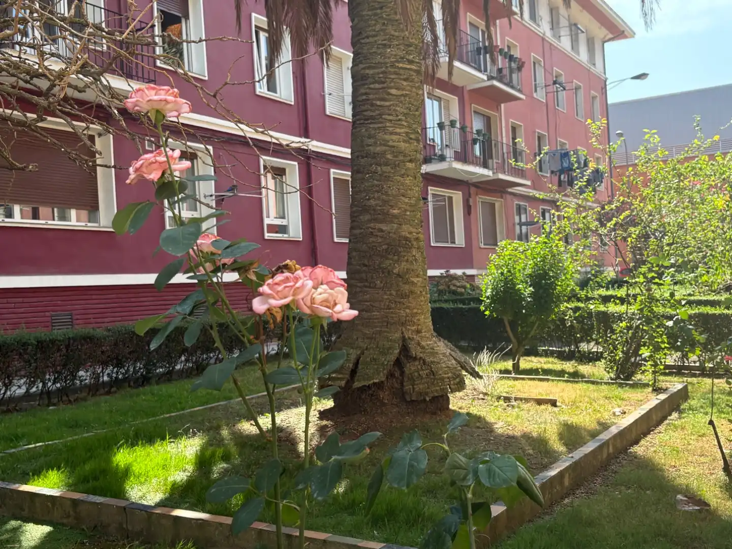 Flat for sale in San Ignacio - Elorrieta