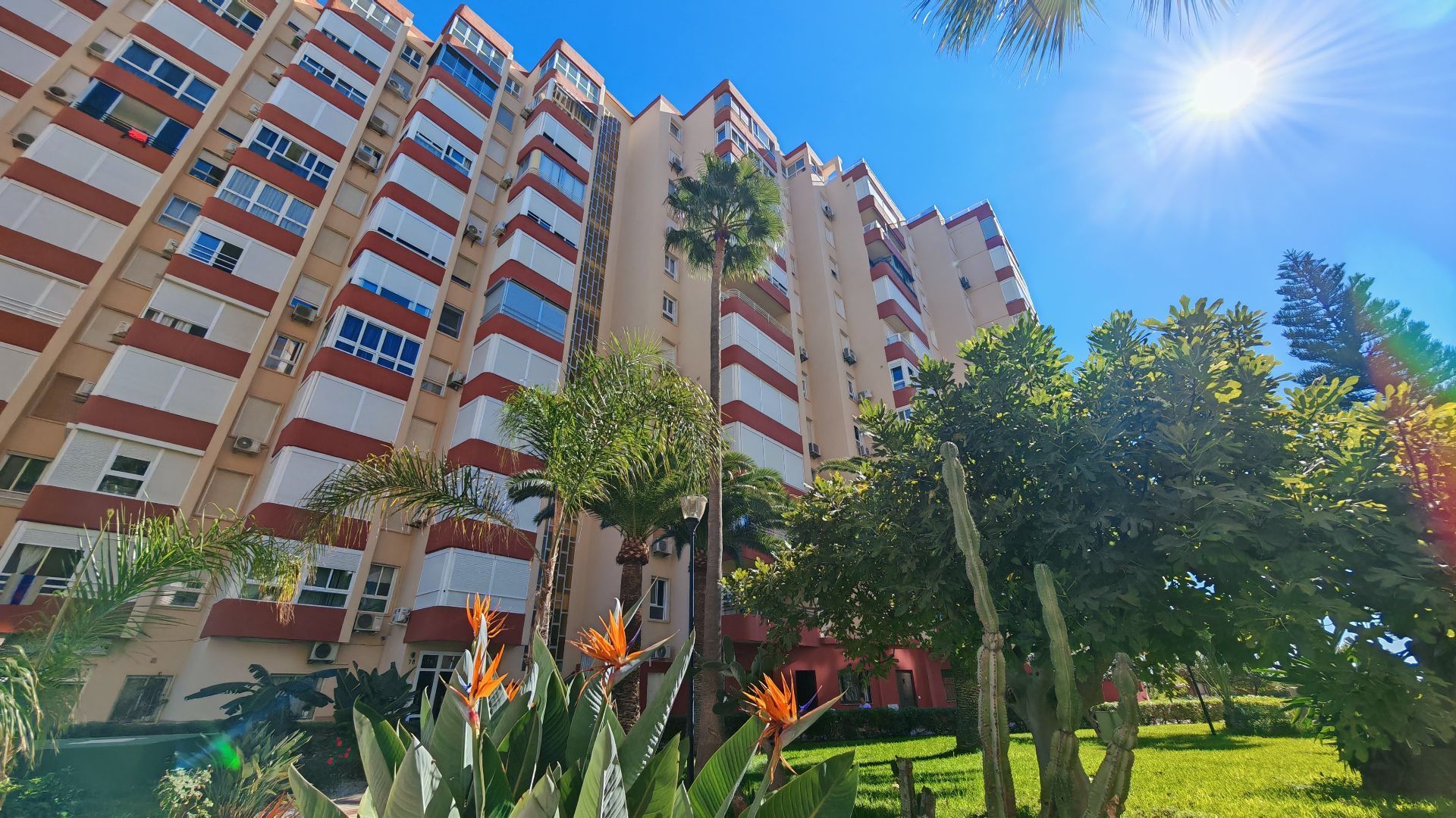 Exterior view of Apartment to rent in Torrox  with Terrace and Community pool