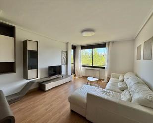 Sala d'estar de Pis de lloguer en  Logroño amb Aire condicionat, Calefacció i Terrassa
