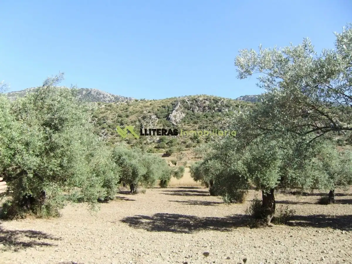 Country house for sale in Bunyola, imagen 6