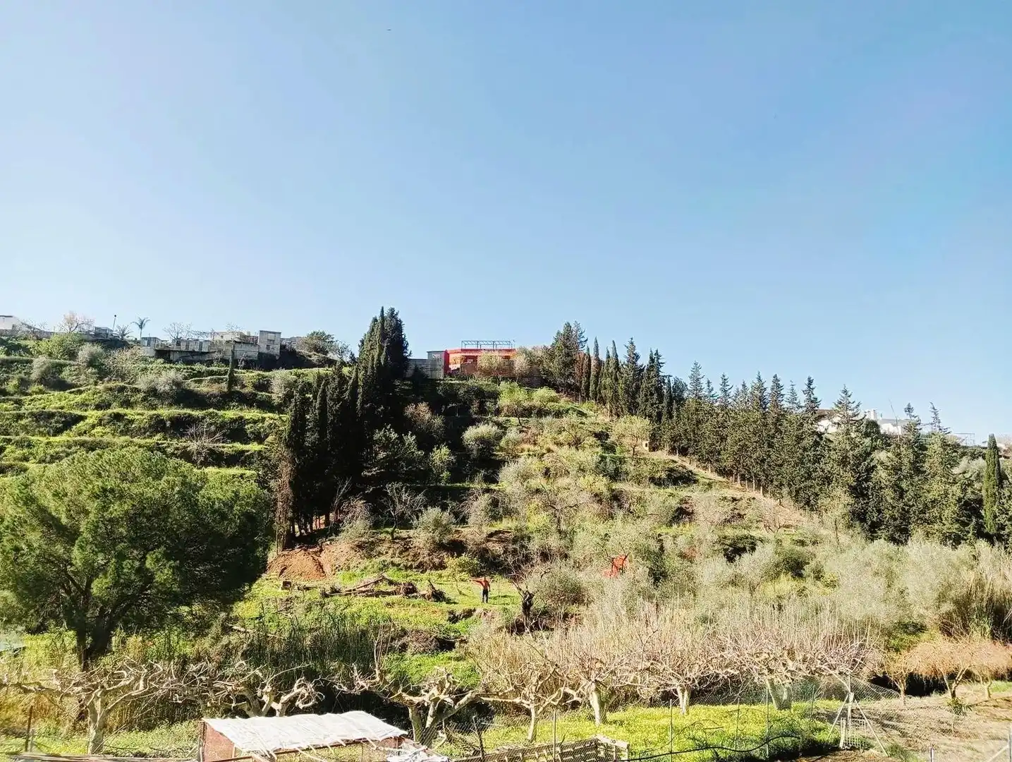 Casa rustica con giardino in vendita a Valtocado - La Alquería - La Atalaya, imagen 21