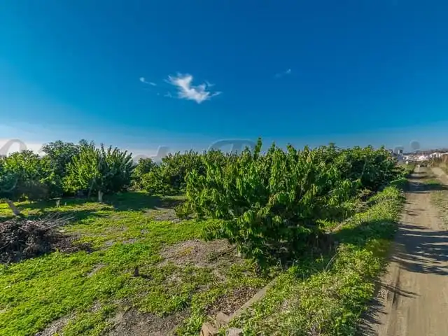 Terreni e lotti in vendita a Torrox Pueblo, imagen 9