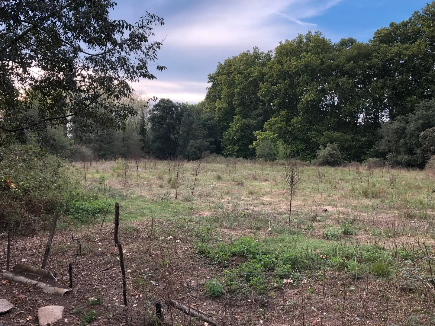 Finca rústica en venta en Sant Celoni