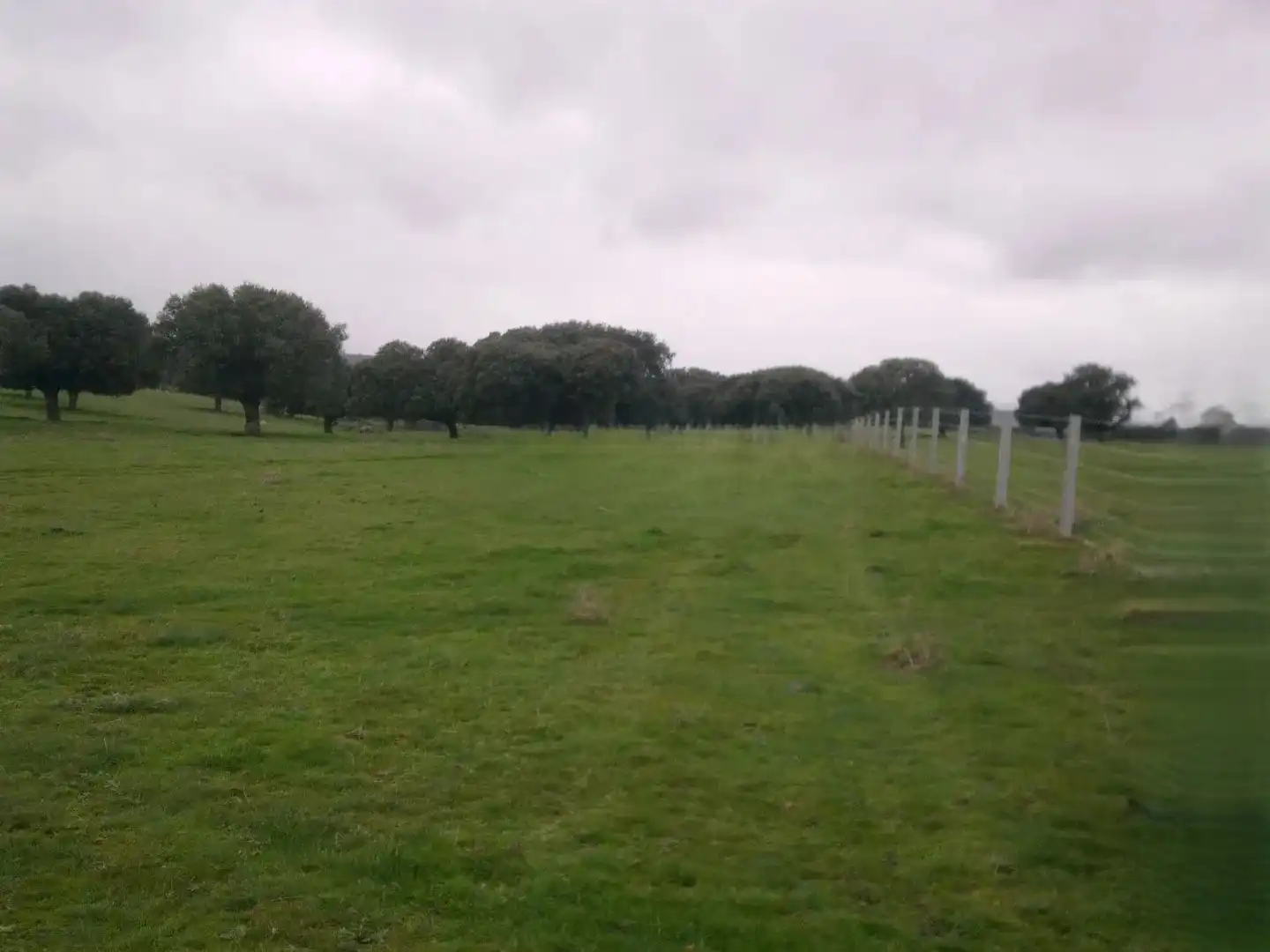 Land for sale in Vistahermosa