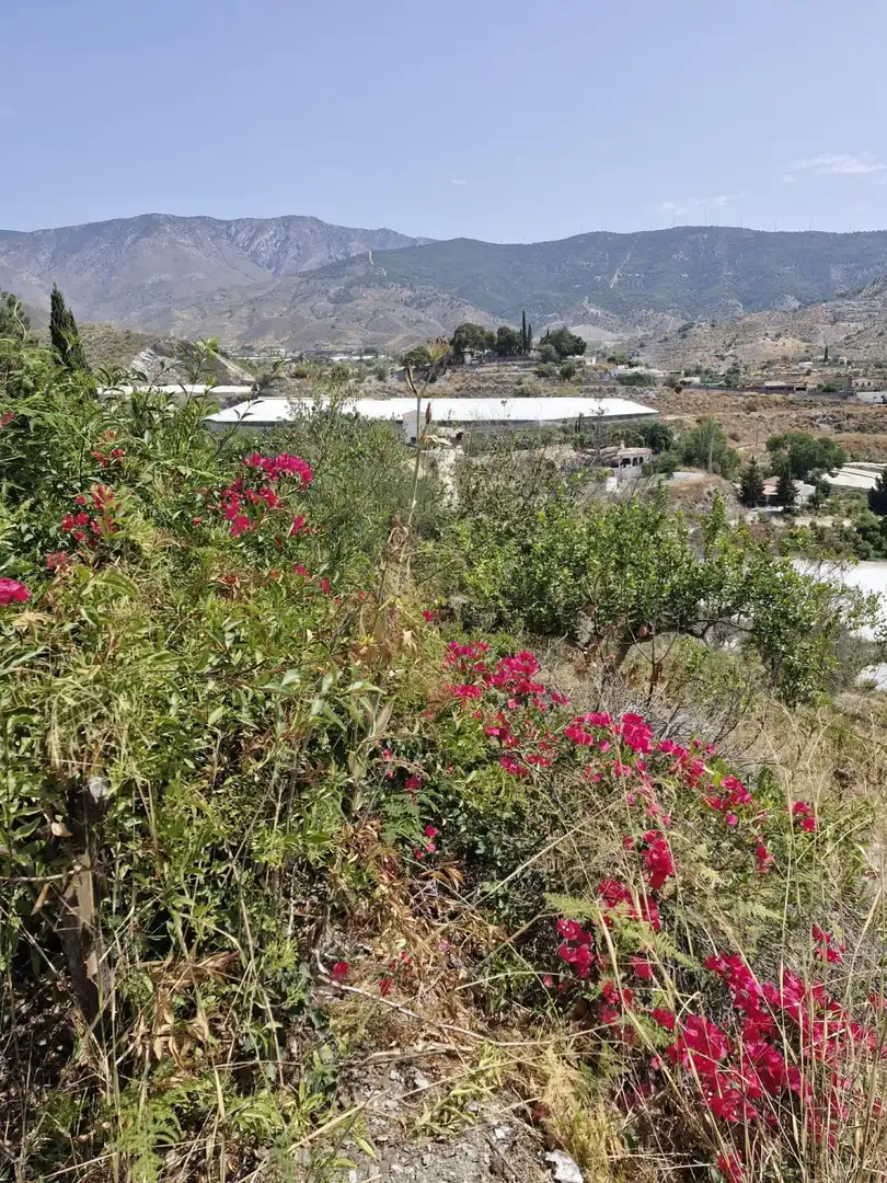 Casa rústica en venta en Los Tablones - La Garnatilla, imagen 26