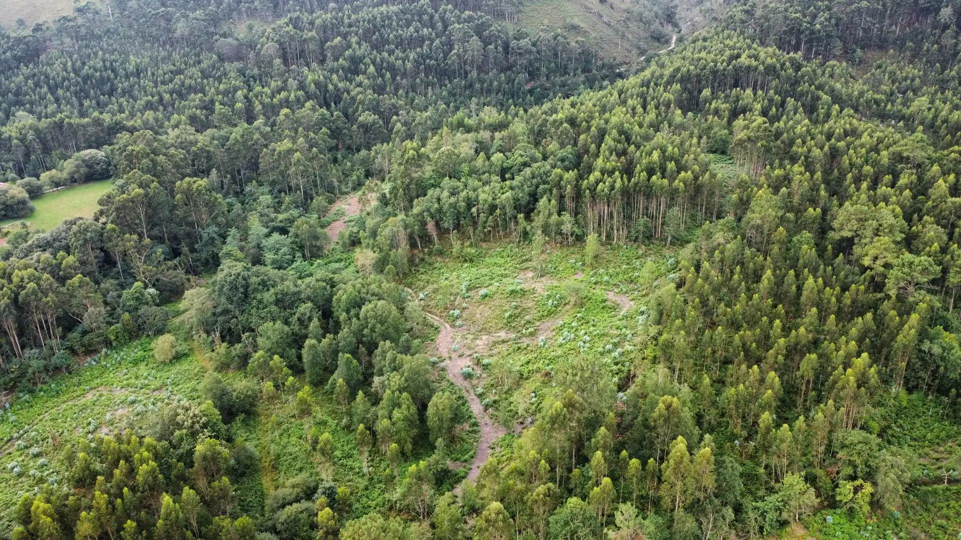 Terreno rustico in vendita a Pría - Nueva-Hontoria - Naves, imagen 18