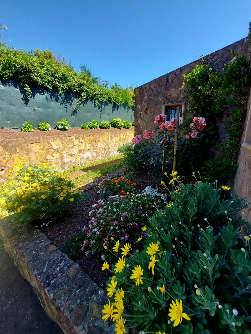 Jardí de Casa o xalet en venda en Tacoronte amb Jardí privat, Parquet i Terrassa
