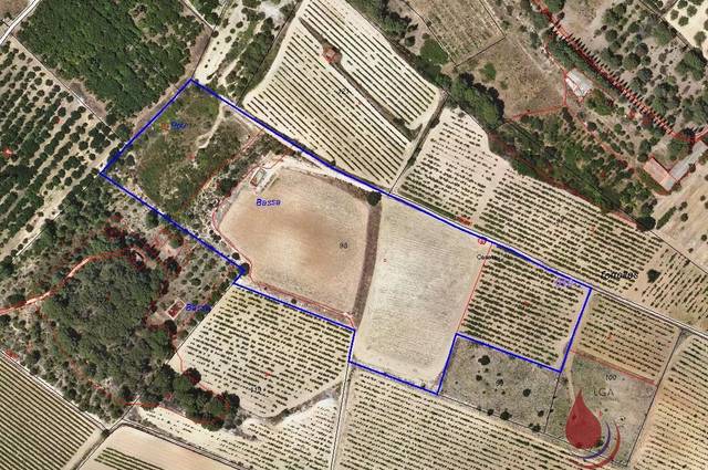 Terreno residencial en Venta en TORRELLES en Puigpelat