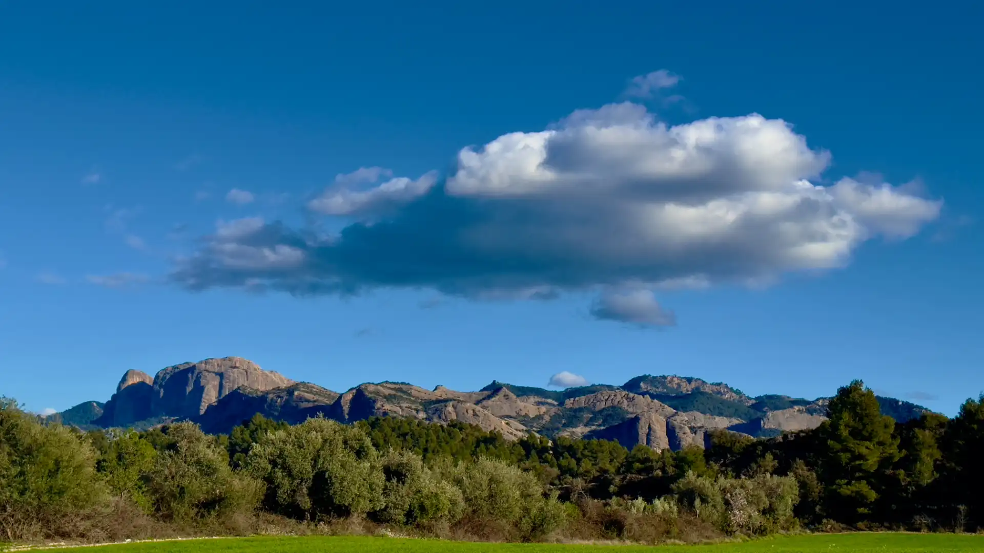 Terreno rustico in vendita a Arnes, imagen 10
