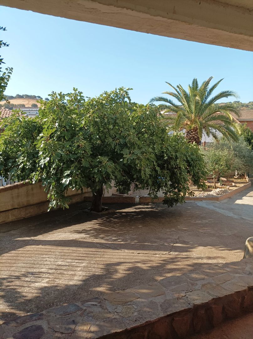Jardí de Casa o xalet en venda en Horcajo de los Montes amb Aire condicionat, Calefacció i Jardí privat