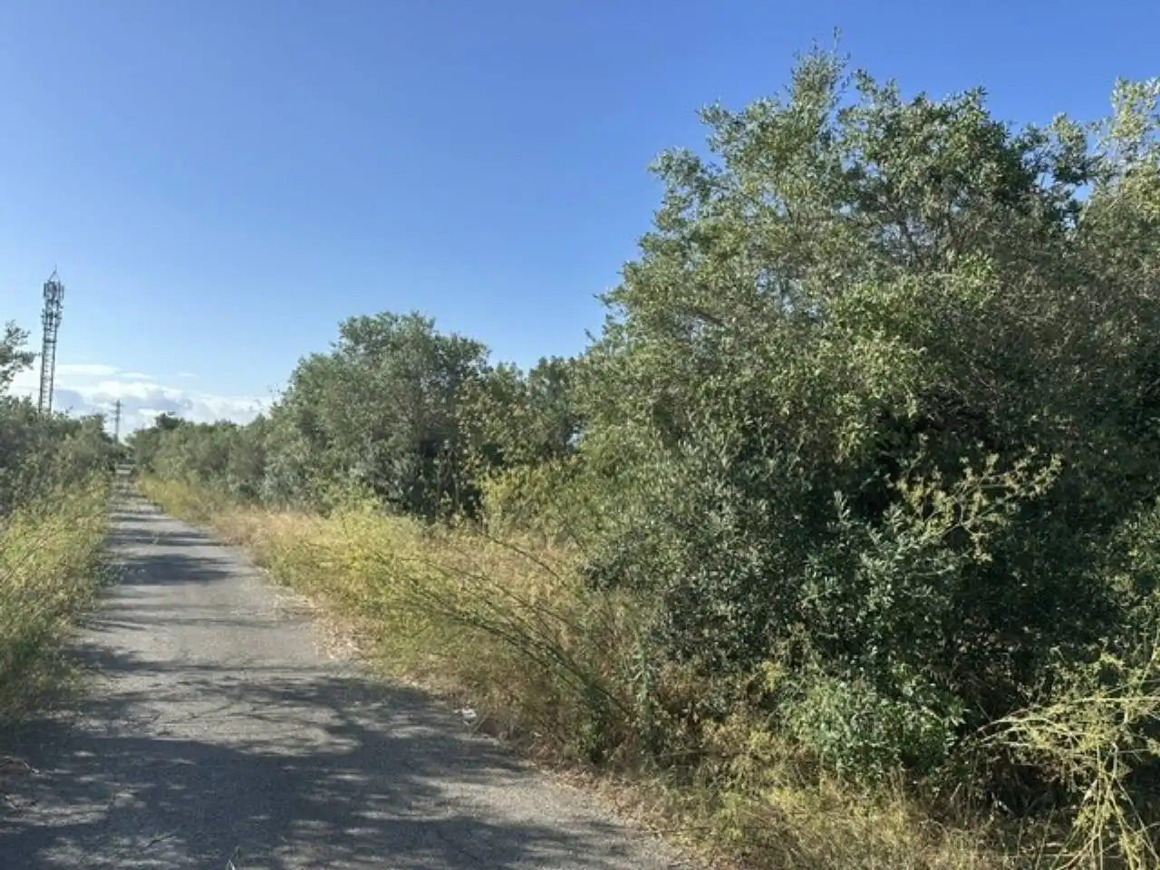 Rustikales Grundstück zum Verkauf in Barenys, imagen 5