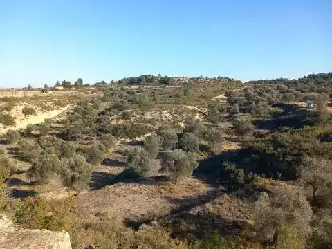 Finca rústica en venda en Maella