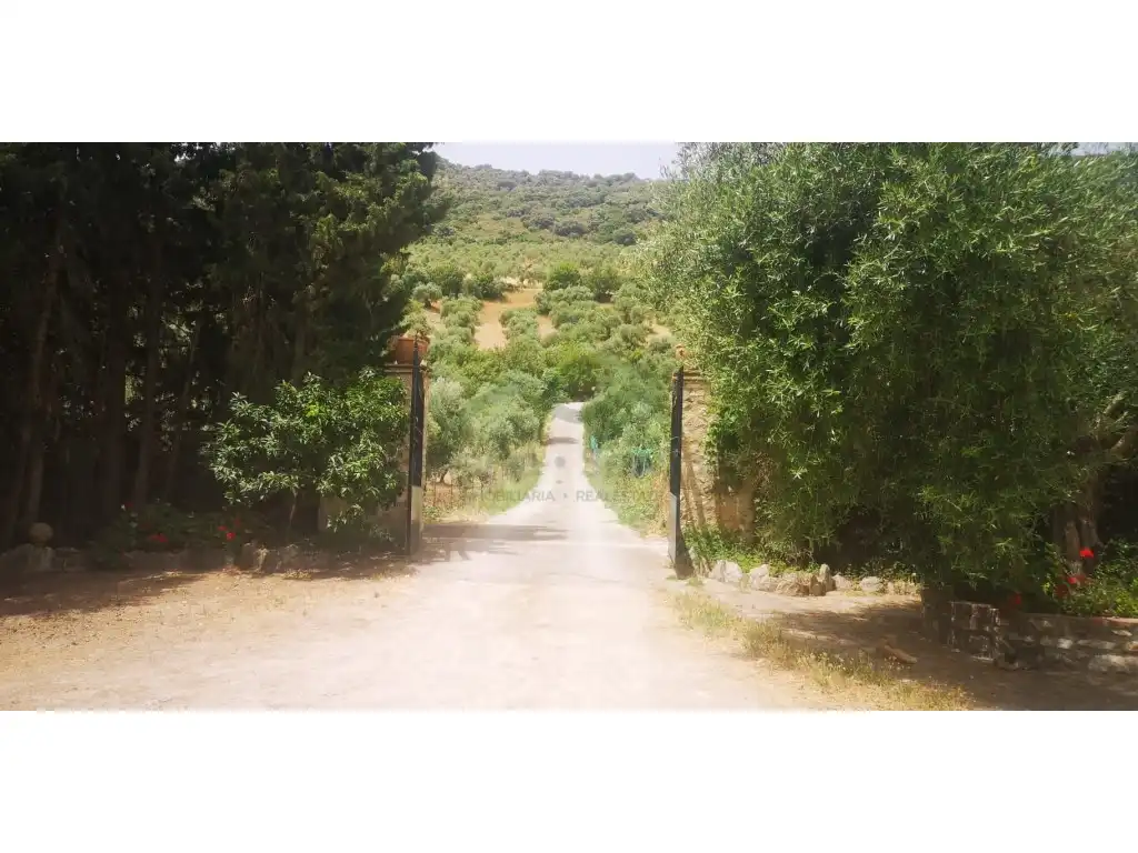 Vista exterior de Finca rústica en venda en Zahara