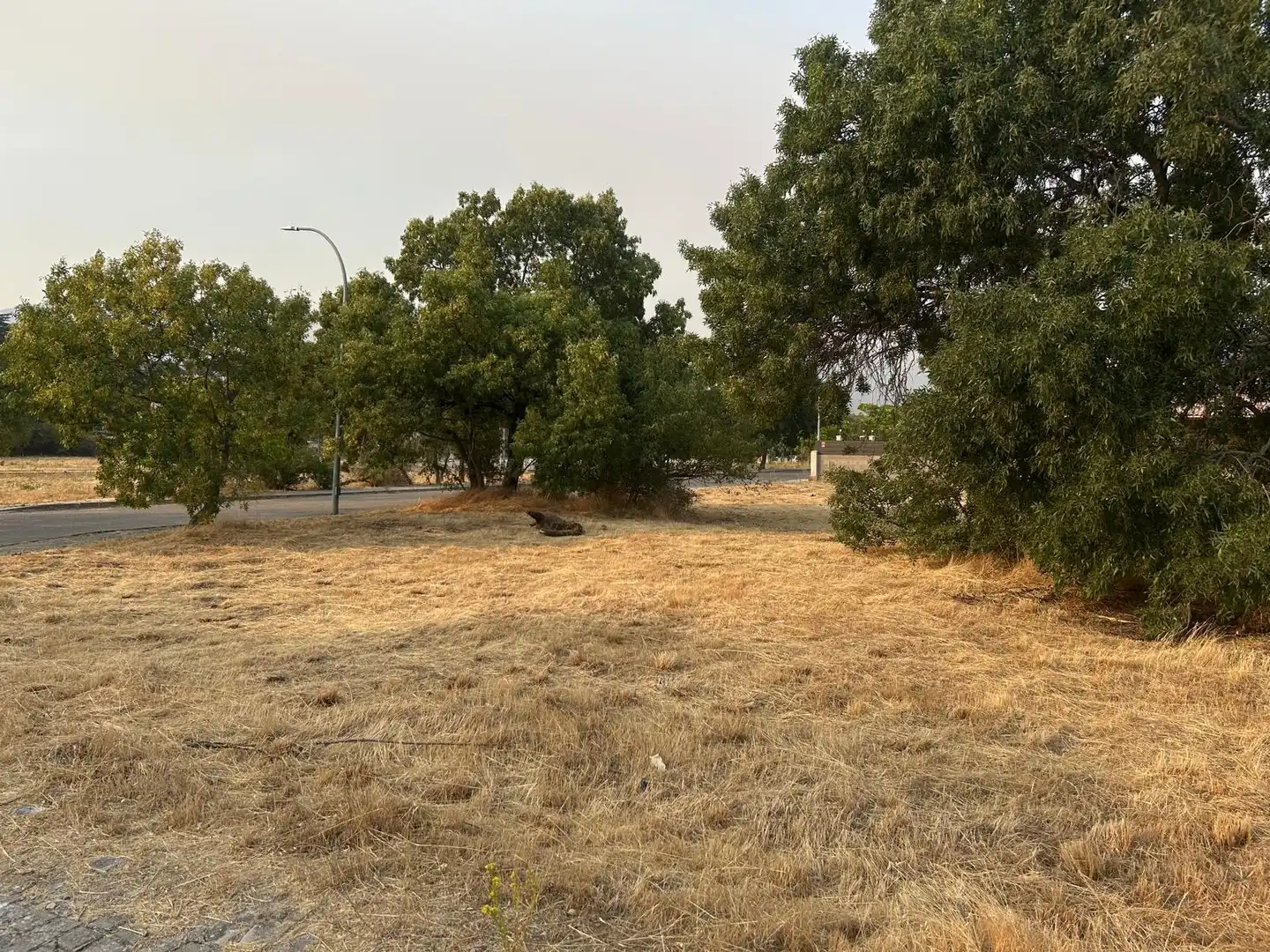 Residencial en venta en Becerril de la Sierra