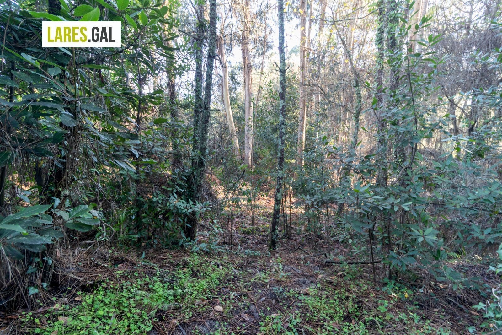 Land for sale in Cangas 