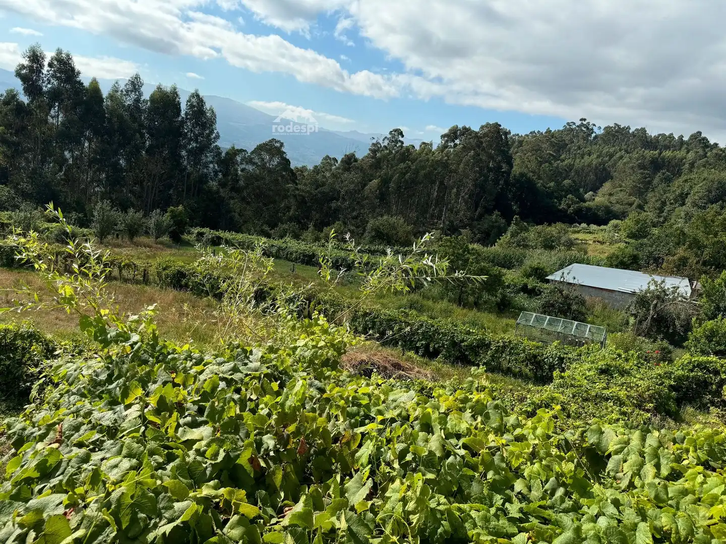 Xalet en venda a A Cañiza, imagen 26