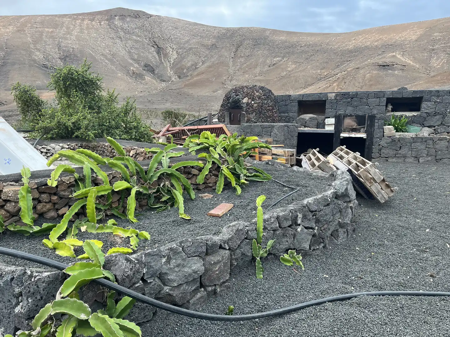 Finca rústica en venta en Playa Blanca