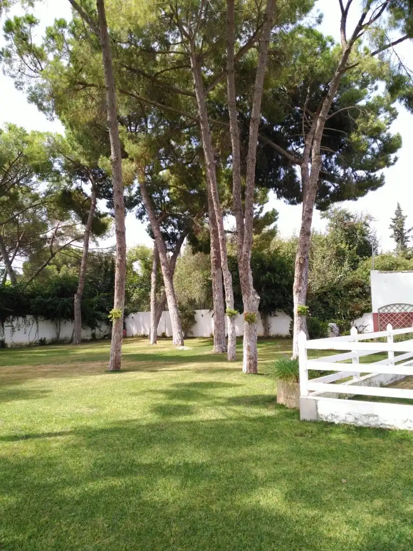 Villa mit Pool zum Verkauf in El Retiro - Parque Atlántico - Ronda este, imagen 7