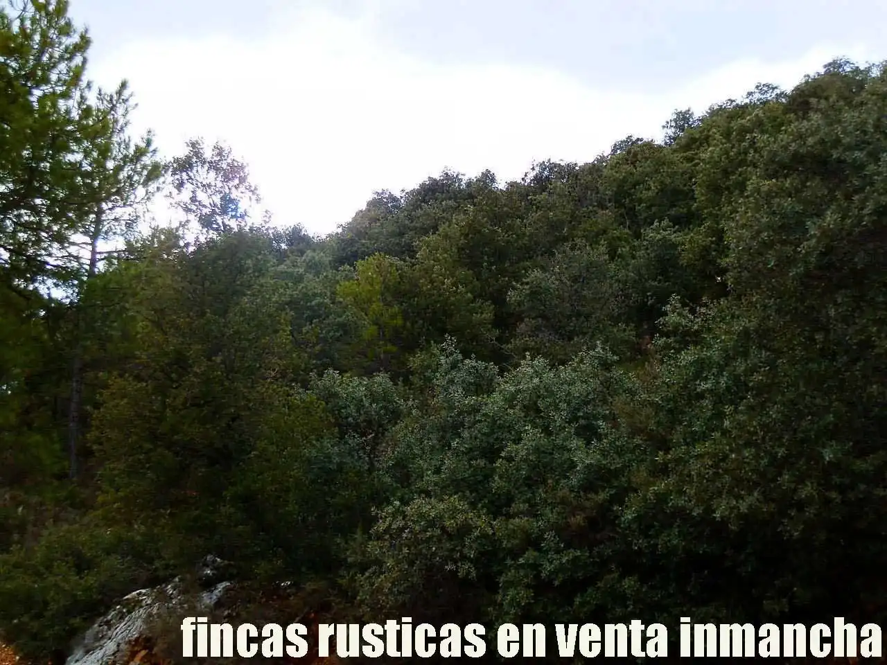Terreno rústico en venta en Nerpio, imagen 10