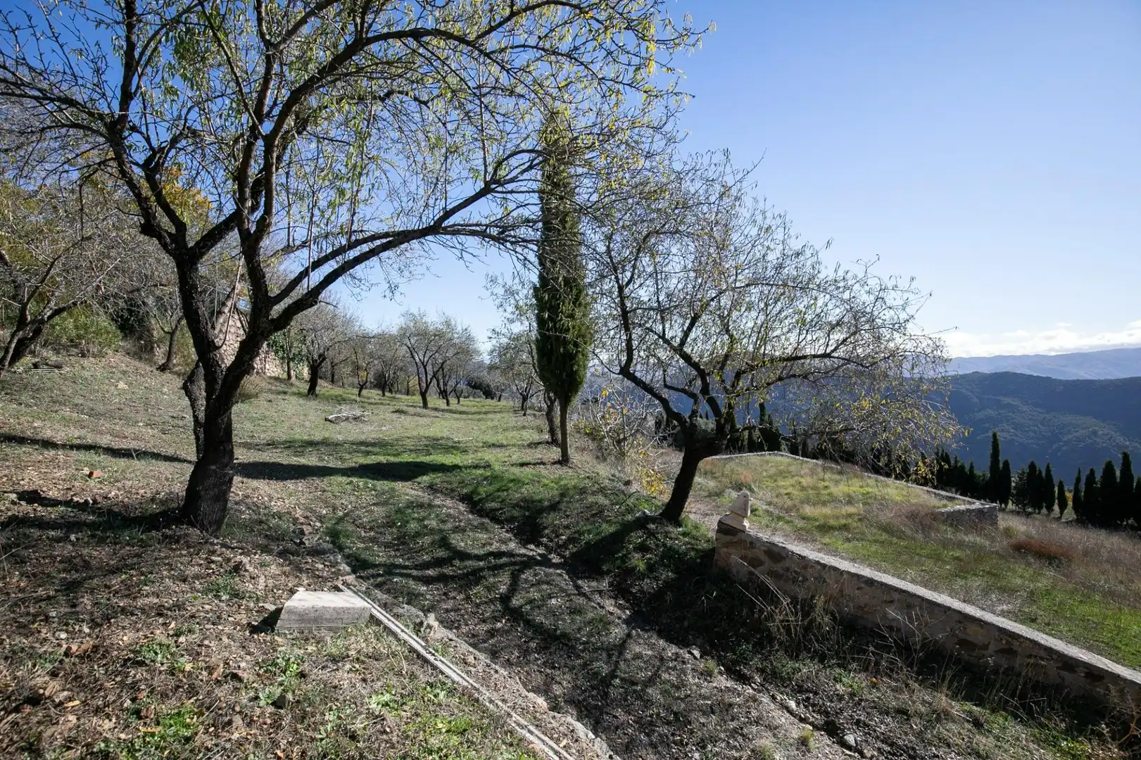 Finca rústica en venda en La Taha