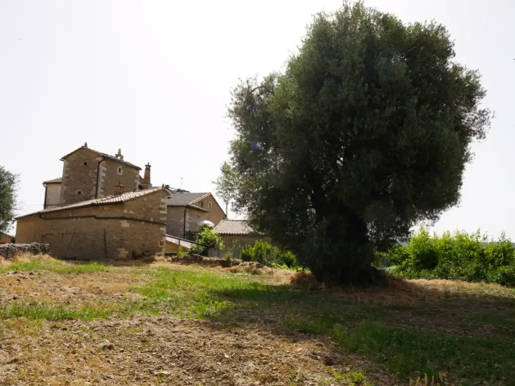 Terreni e lotti in vendita a Camino Casa Olivera(Lecina) 1, imagen 2