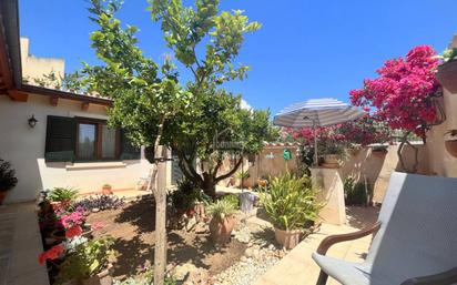 Jardí de Casa o xalet en venda en Son Servera amb Terrassa