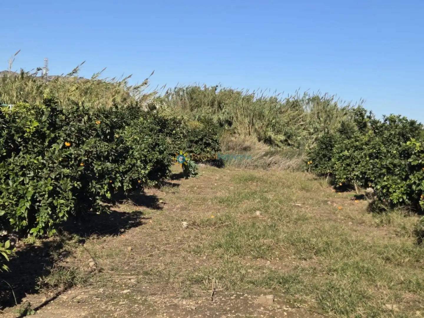 Finca rústica en venta en Xeraco con Jardín privado, Terraza y Trastero