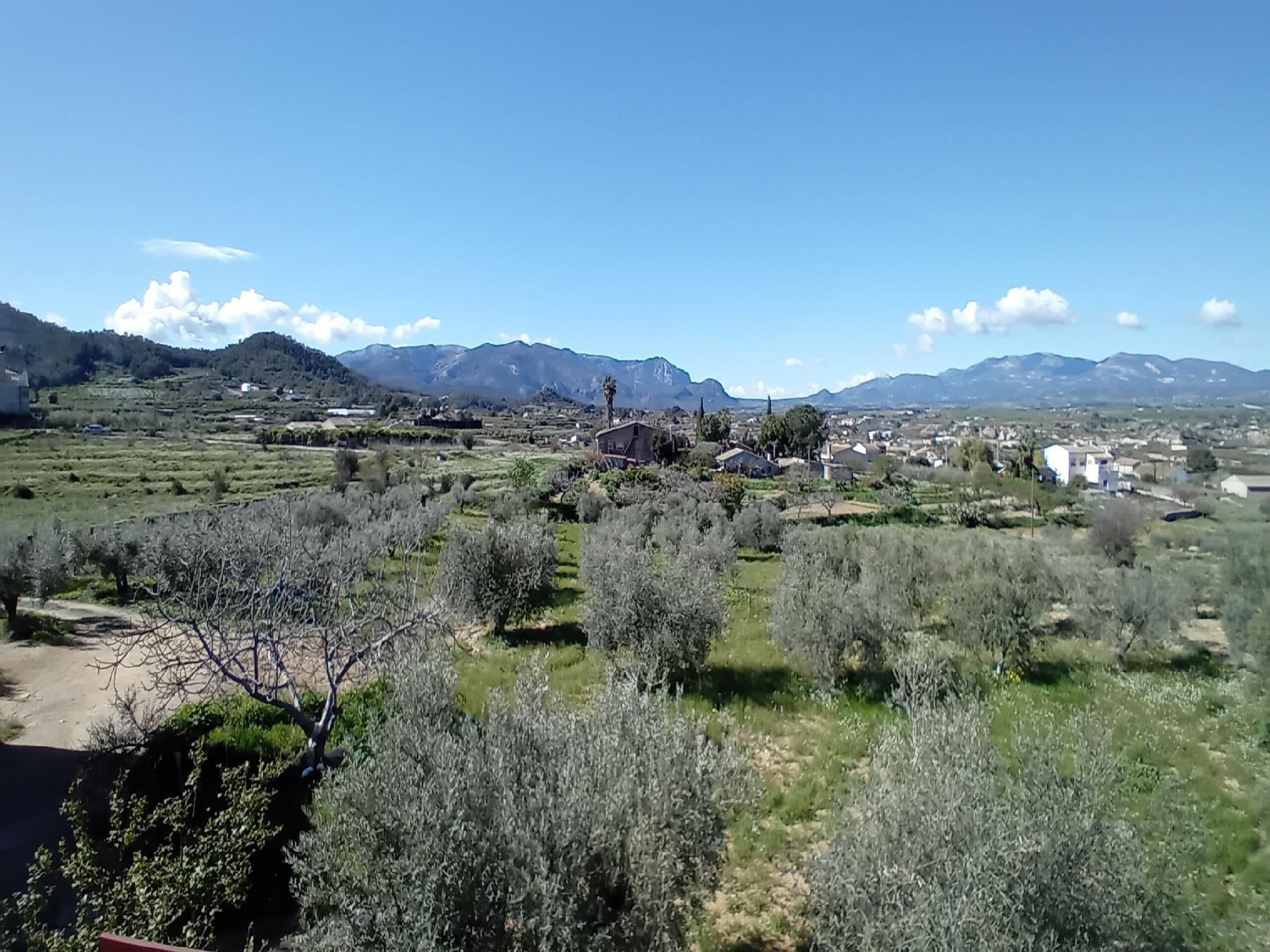 Duplex for sale in Pliego  with Terrace