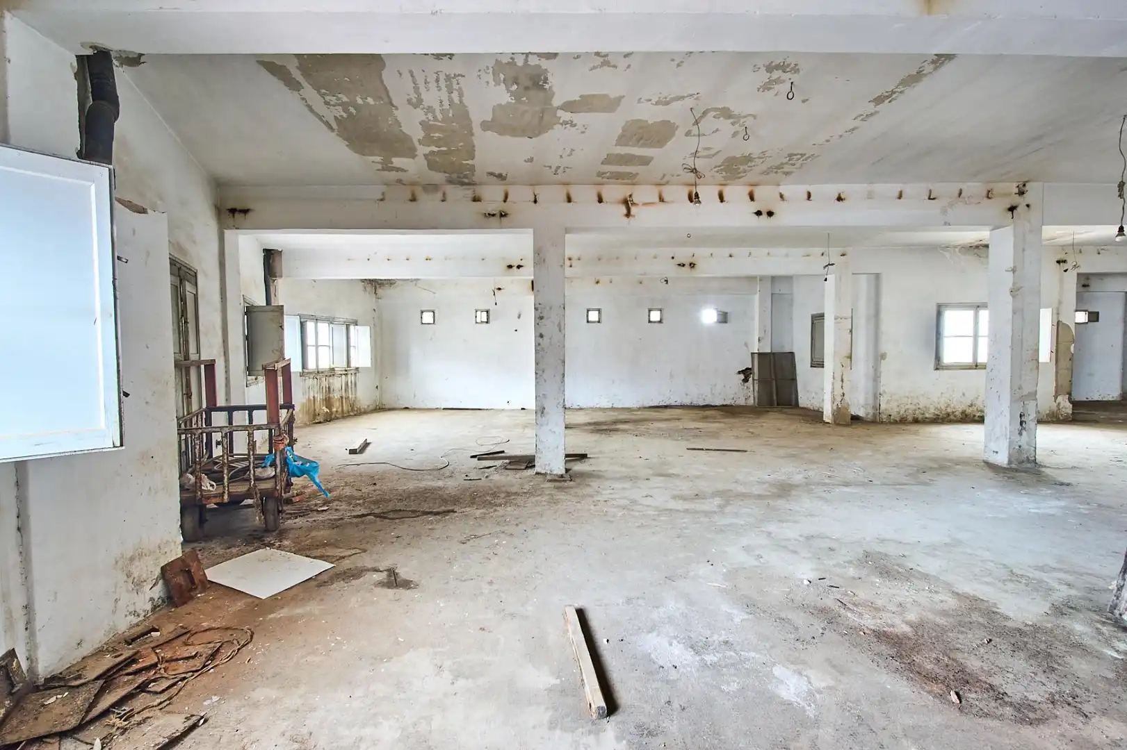 Inmuebles singulares con ascensor en venta en JOSE MORA, imagen 38