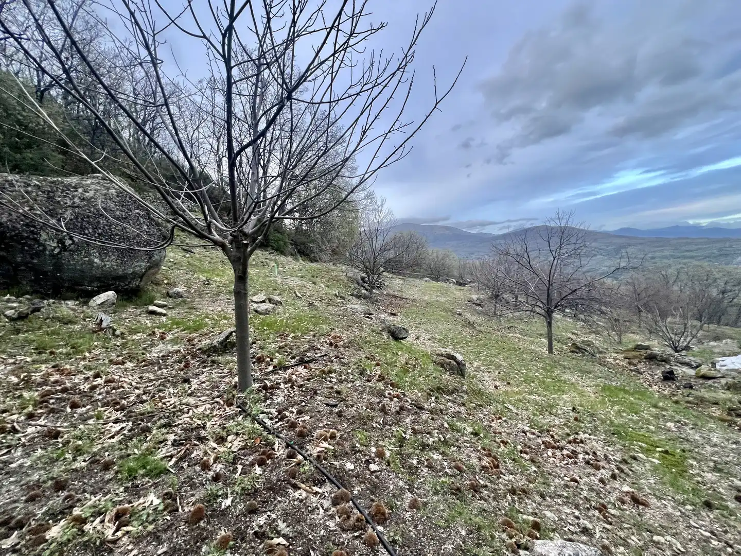 Grundstücke zum Verkauf in Garganta la Olla