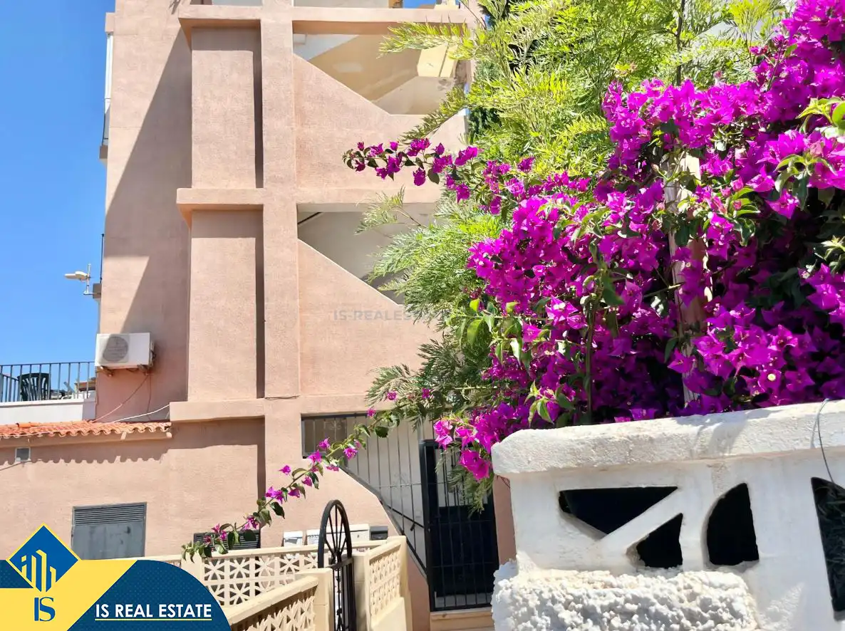 Studio à vendre à La Mata, imagen 22