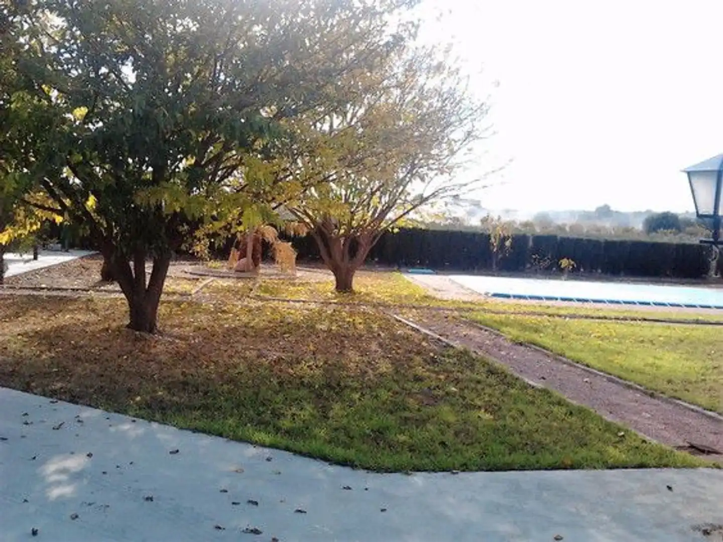 Villa avec piscine à vendre à Moratalla, imagen 13