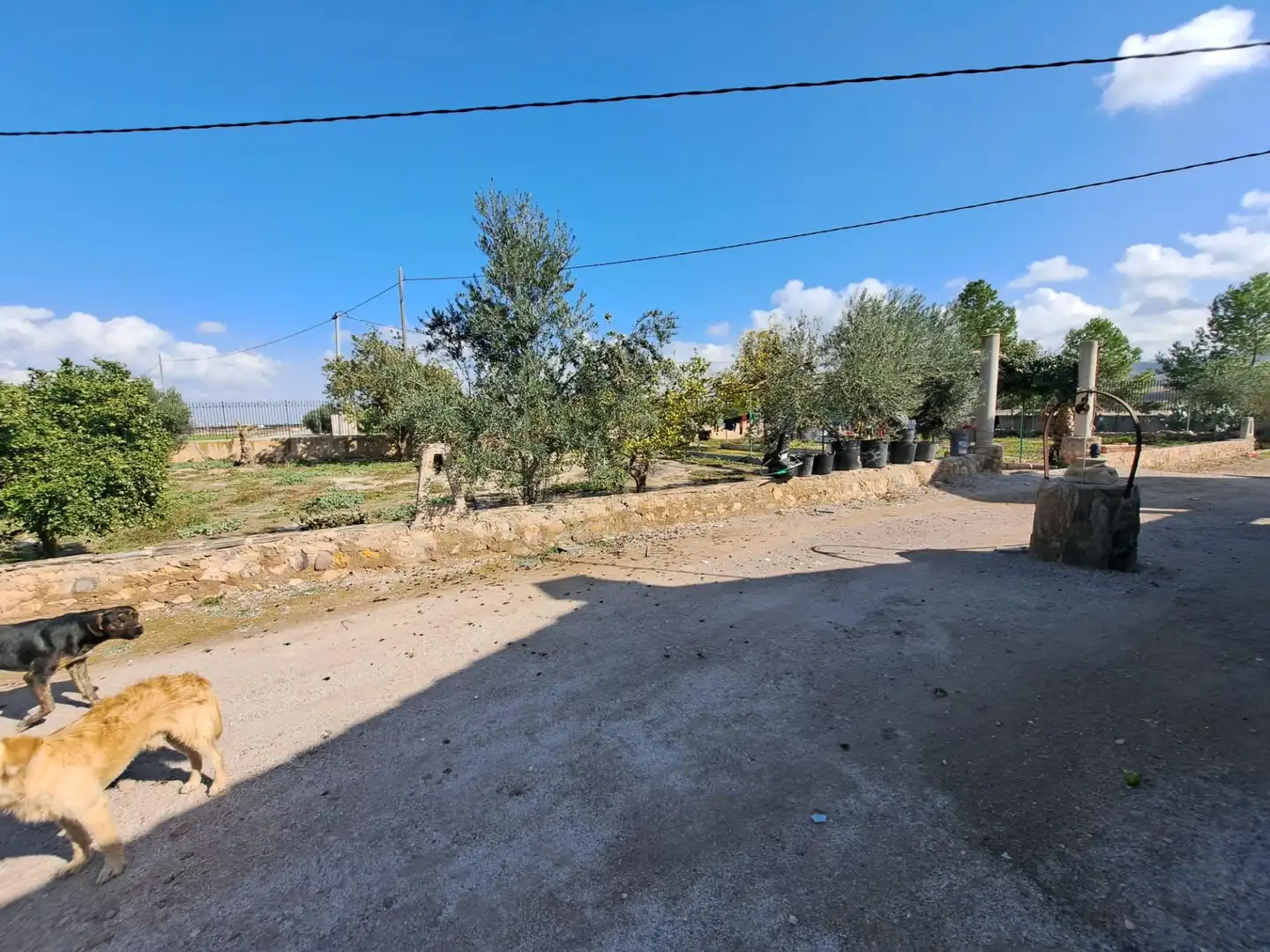 Casa o chalet en venta en Marchena