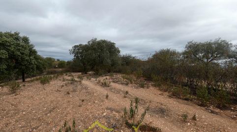 Foto 5 de Finca rústica en venda a Tharsis, Huelva