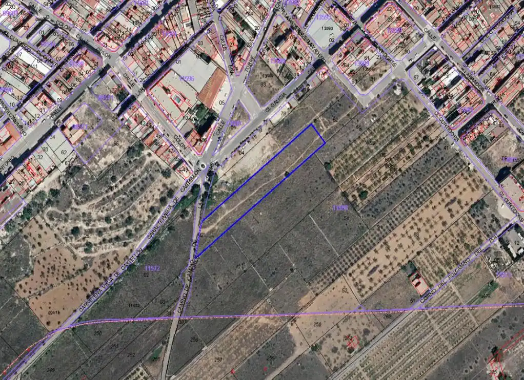Terreno rustico in vendita a TORRE (DE LA), imagen 2