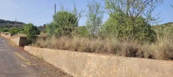 Rural land for sale in Pt Paraje Bolavar, imagen 10