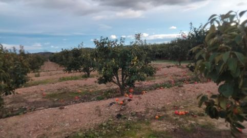 Foto 3 de Terreno en venta en Parque de la Bombilla, Llíria